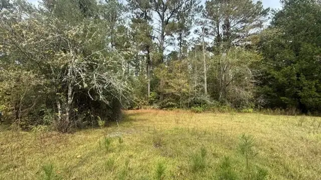 TBD Possum Trot Ln thumbnail 2