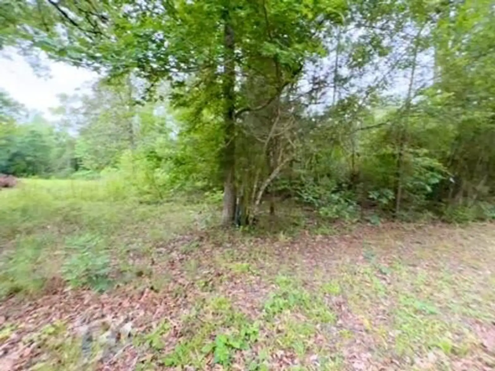 TBD Possum Trot Ln