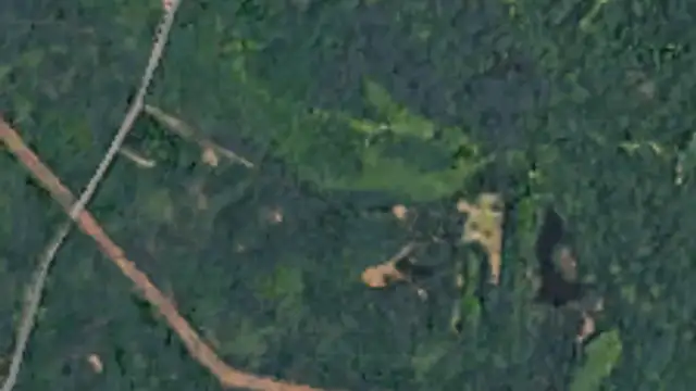 Off LA-40 & Isabel Swamp Rd thumbnail 2