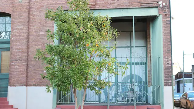 1107 S. Peters St. - Unit 120 thumbnail 3