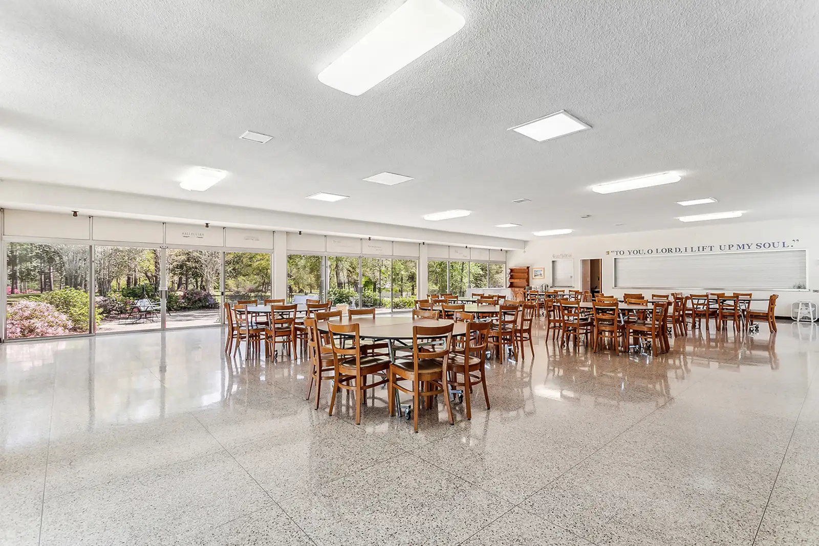 Carmel Center image 7