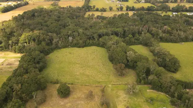 Multi-purpose Acreage  - TBD Higginbotham Ln thumbnail 4