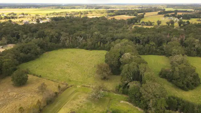 Multi-purpose Acreage  - TBD Higginbotham Ln thumbnail 3
