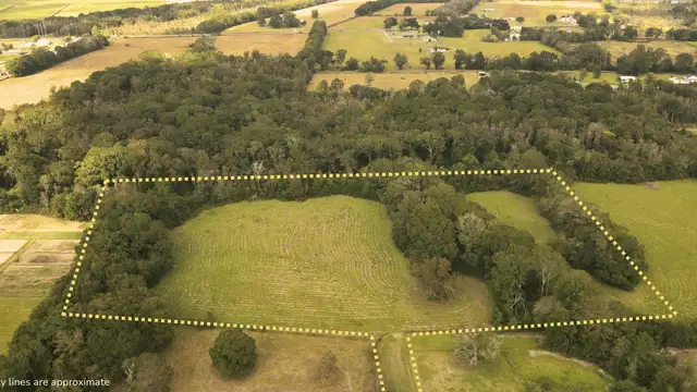 Multi-purpose Acreage  - TBD Higginbotham Ln thumbnail 5