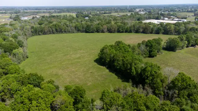 View image 10
