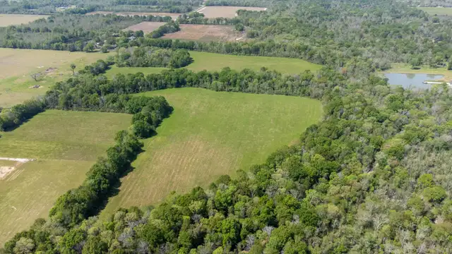 View image 7