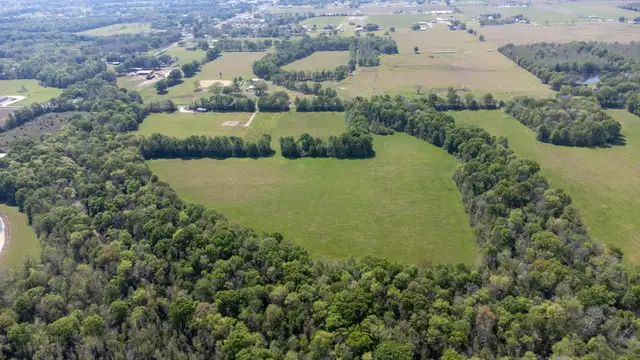 View image 15