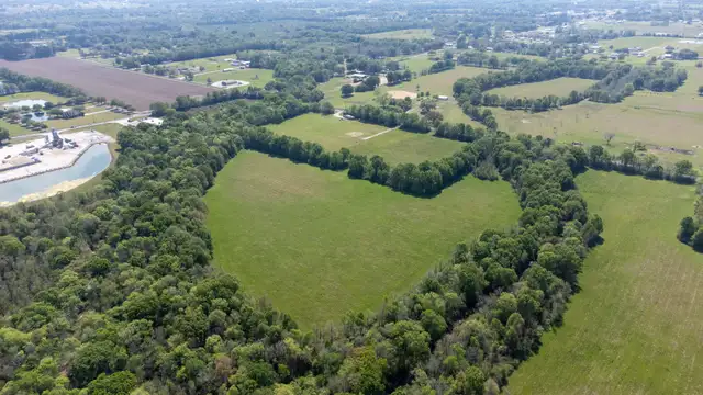 View image 6