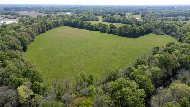 View image 11
