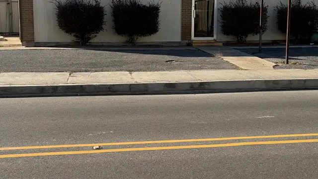 1626 Hodges St thumbnail 3
