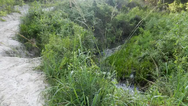 Bogue Chitto River Parcel thumbnail 3