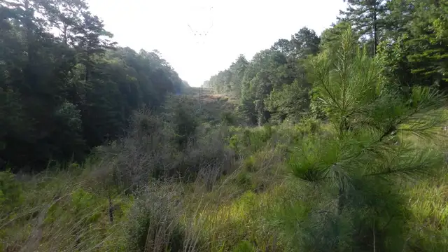 Bogue Chitto River Parcel thumbnail 4