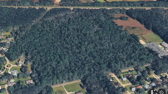 40.5AC Between Brewster Rd. and I-12 thumbnail 2