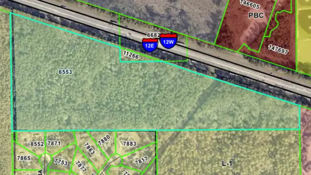 40.5AC Between Brewster Rd. and I-12 thumbnail 4