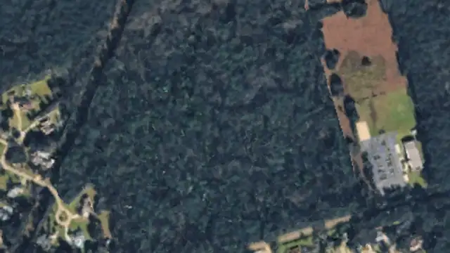 40.5AC Between Brewster Rd. and I-12 thumbnail 3