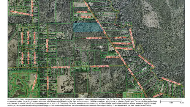 29.1 ACRES ON HIGHWAY 25, COVINGTON, LA thumbnail 2
