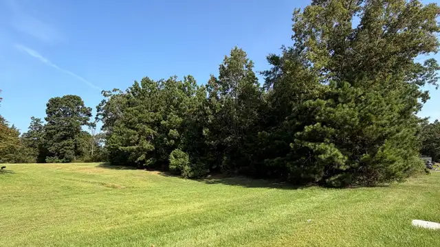 Pines Rd Commercial Lot thumbnail 4