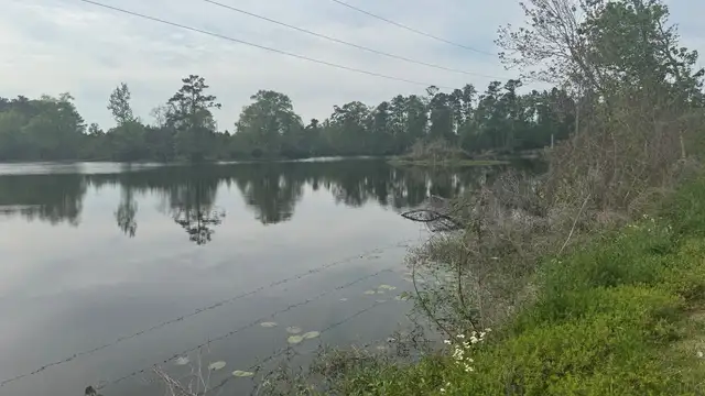 View image 5