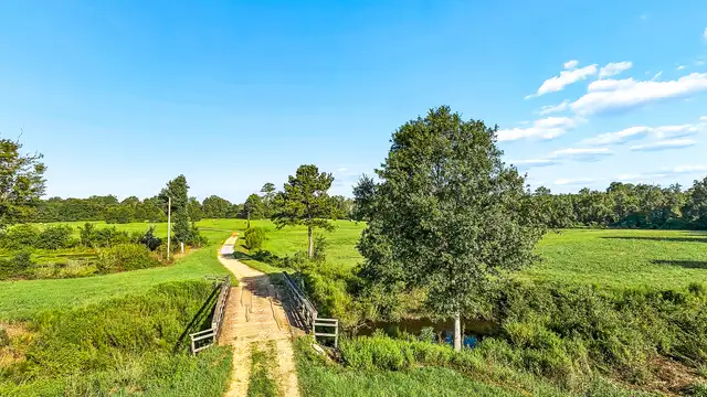 21258 Wallace King Rd thumbnail 5