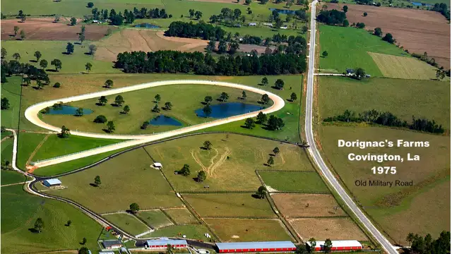 21258 Wallace King Rd thumbnail 2