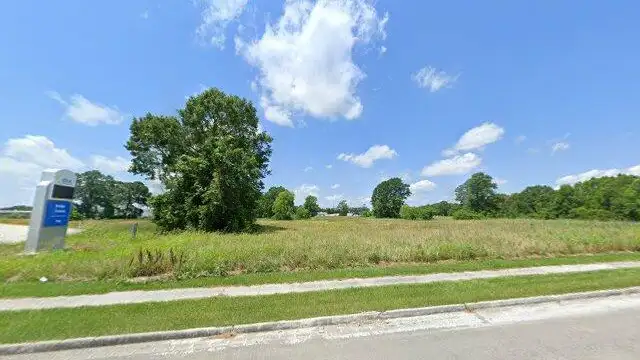 Vacant Land near Amazon (Tract 5) thumbnail 2