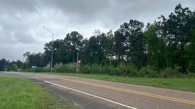 1-20 Frontage in East Texas -7 Acres Vacant Tract- PRICE REDUCED thumbnail 5