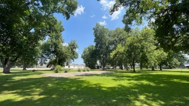 View image 4