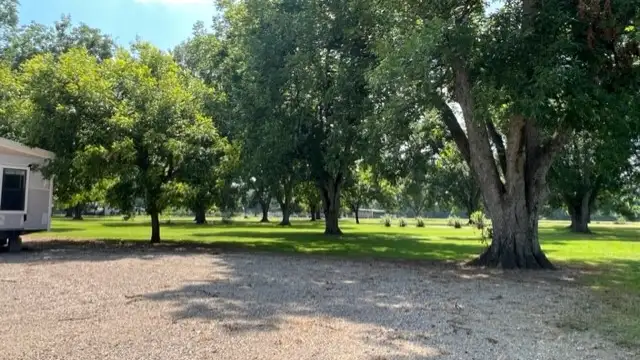 View image 2