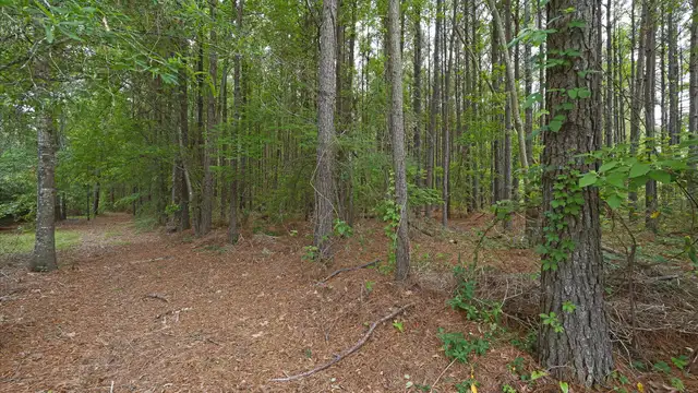 View image 21