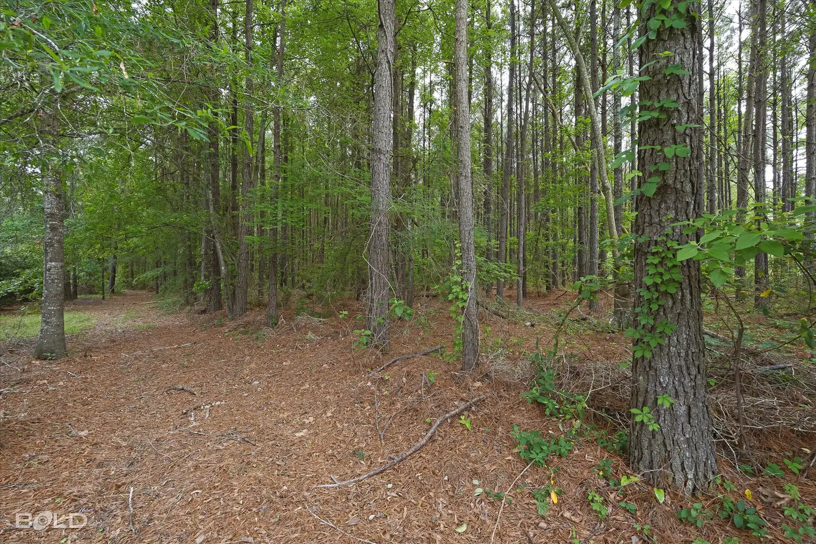 0 Boothville Rd image 21