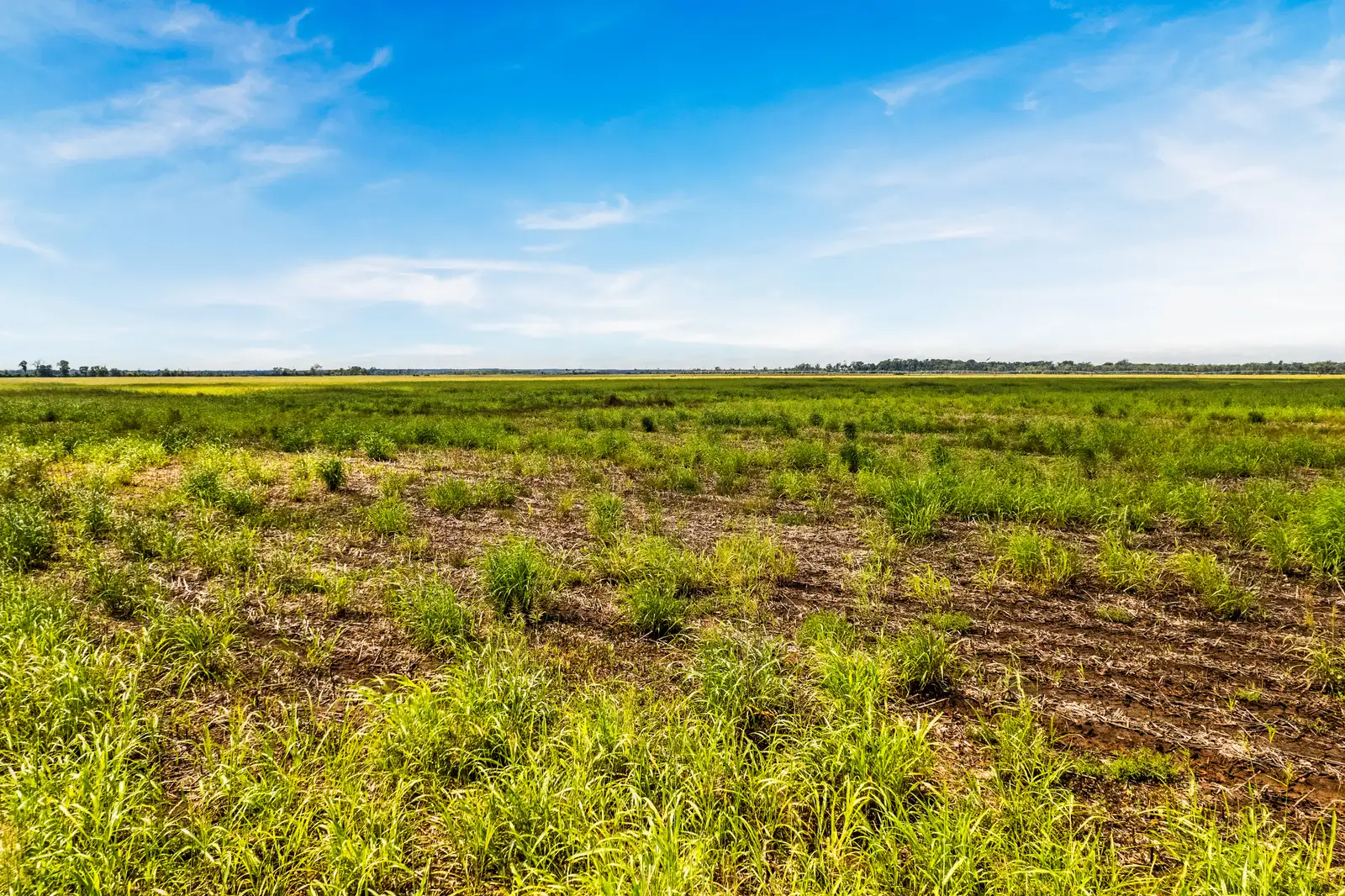 50 acre Development Site image 2