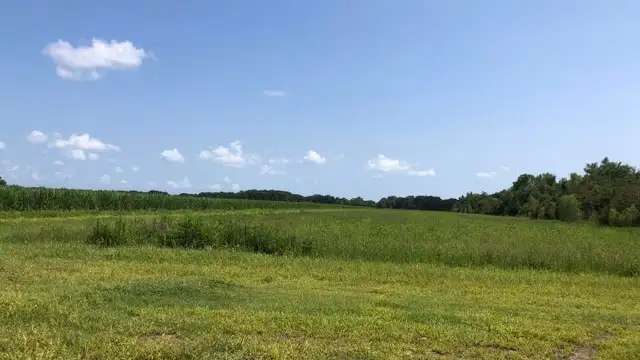 Trahan Rd & Par Rd 301 thumbnail 3