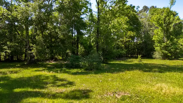 View image 5