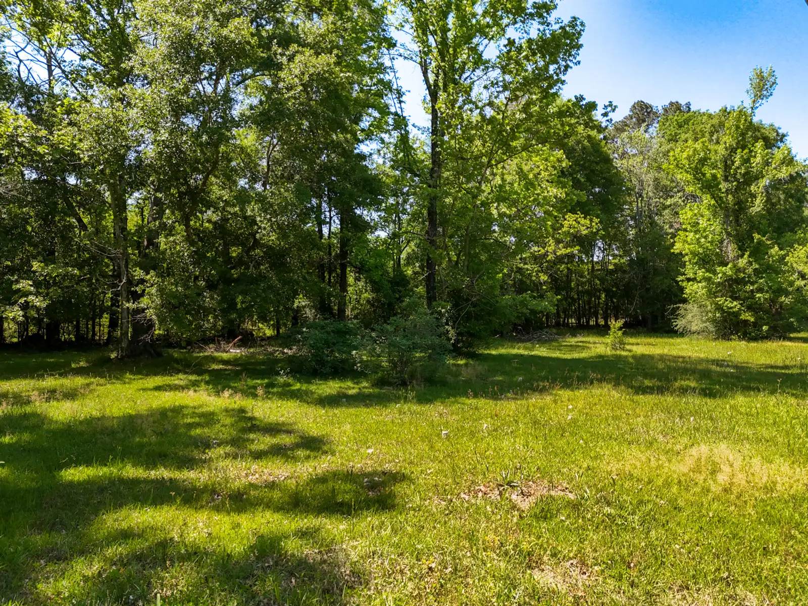 Corner Acreage with Development Potential Near I-12 image 5