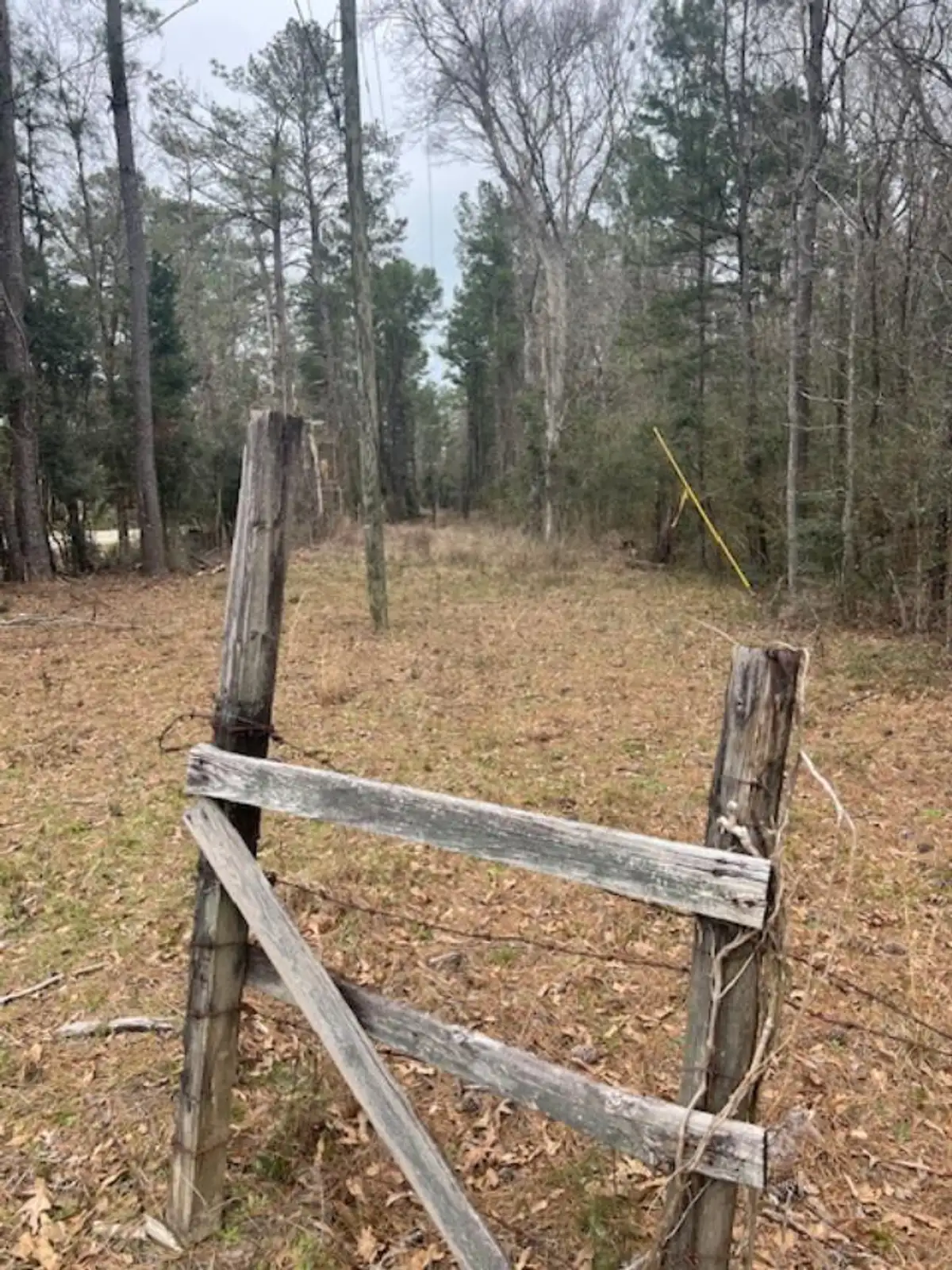33.58 Acres - 21814 Hunt Rd