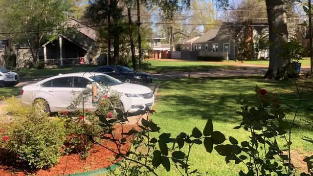 349 Albany Ave thumbnail 5