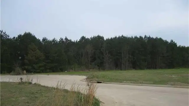 Vacant Land thumbnail 4