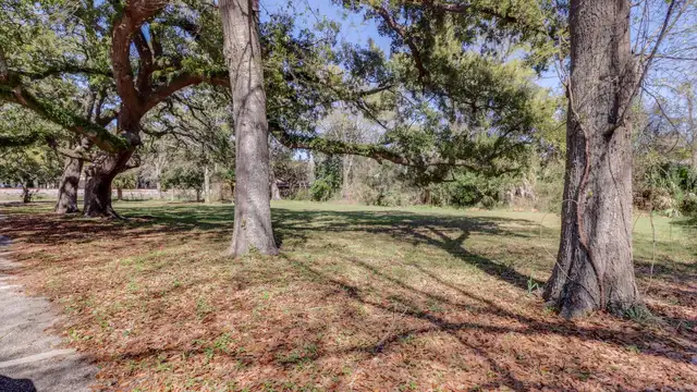 View image 1