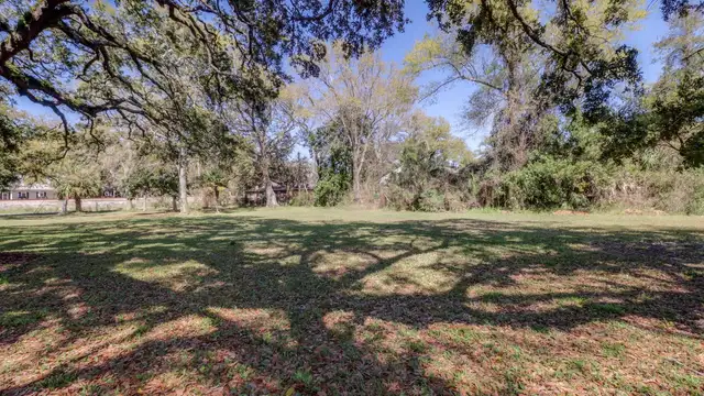 View image 3