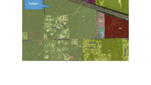 PRIME RESIDENTIAL DEVELOPMENT SITE IN NO FLOOD ZONE X thumbnail 5
