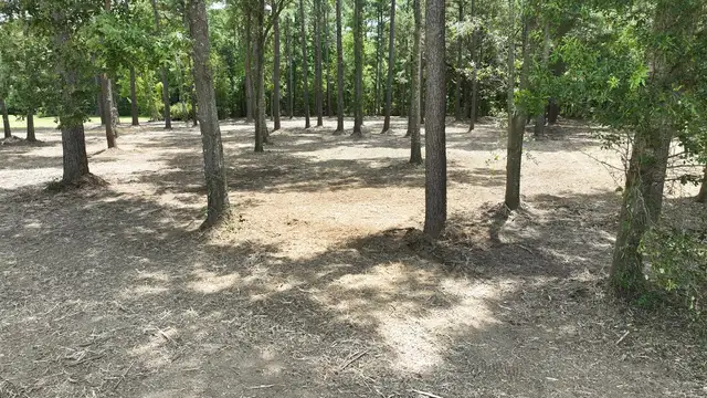 INDUSTRIAL LOTS thumbnail 3