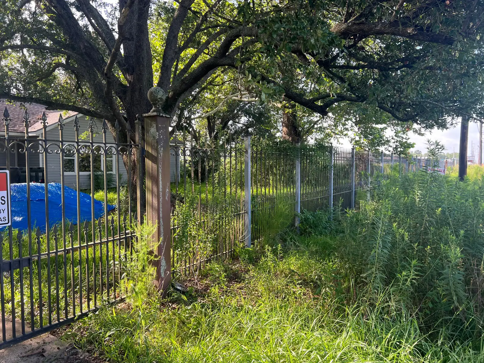 Commercial / Land image 4