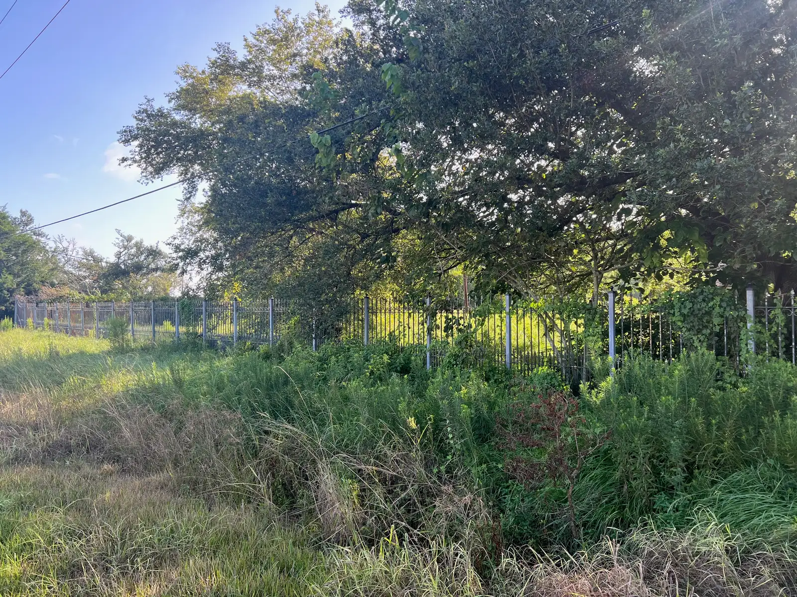 Commercial / Land image 3