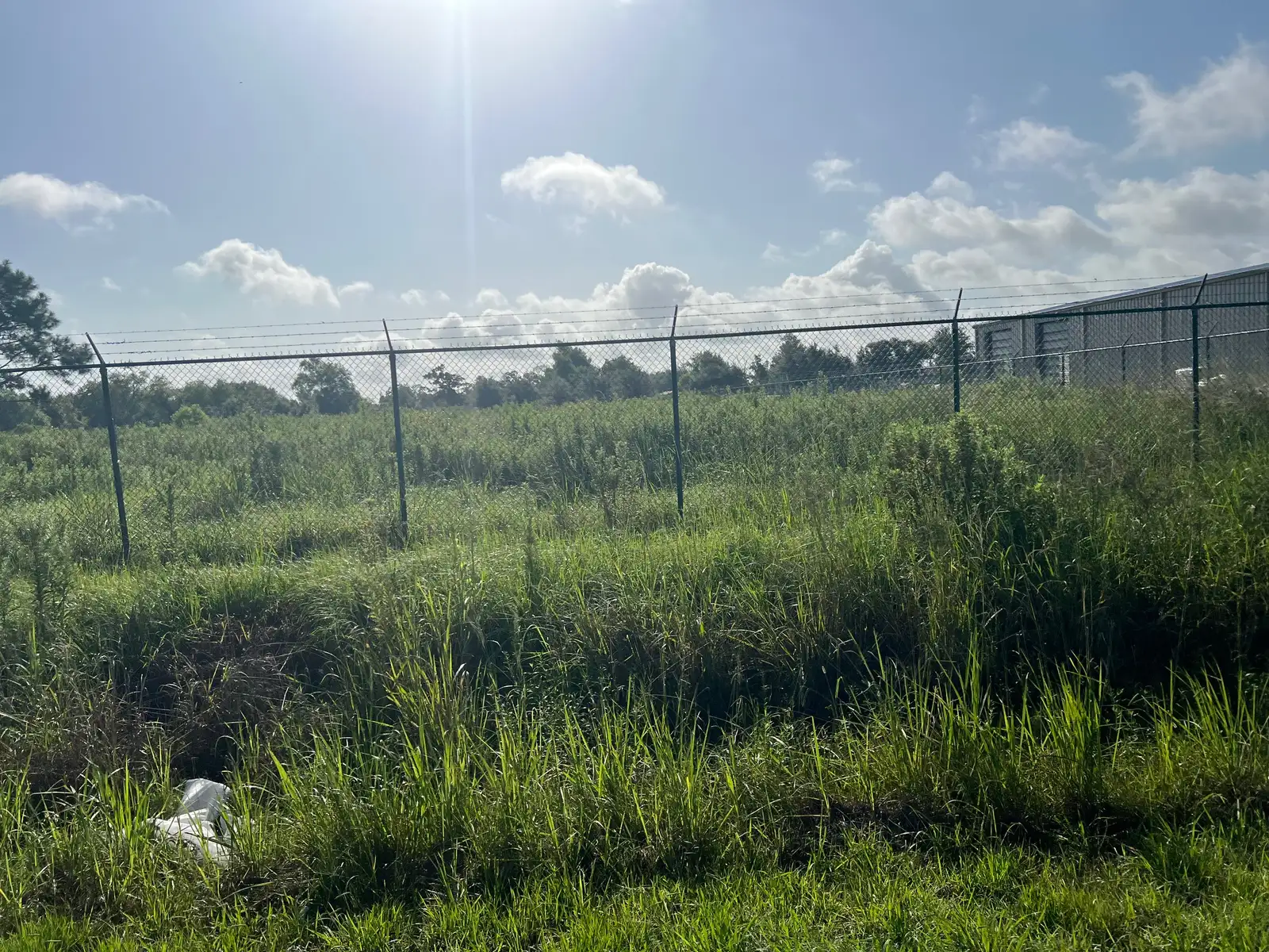 Commercial / Land image 2
