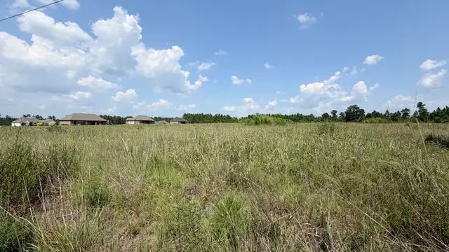 TBD Hwy 171 thumbnail 2