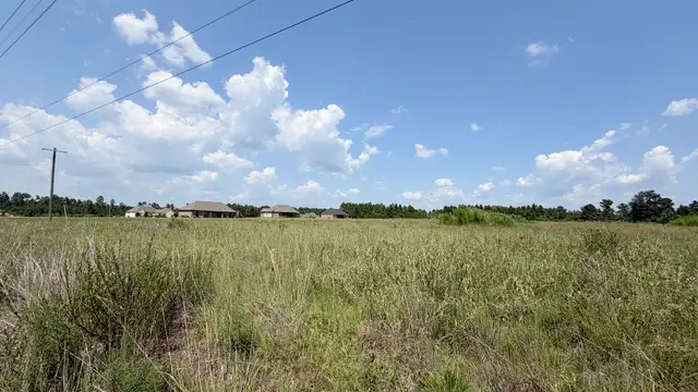 TBD Hwy 171 thumbnail 4