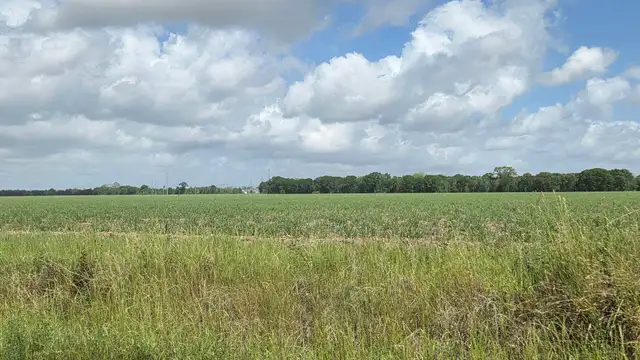 1011 Sidney Charles Rd thumbnail 2