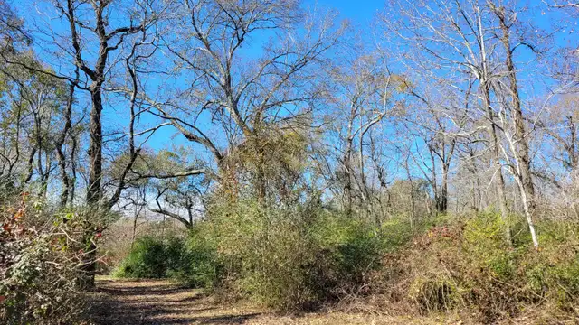 26 acres - Prime River Frontage thumbnail 3
