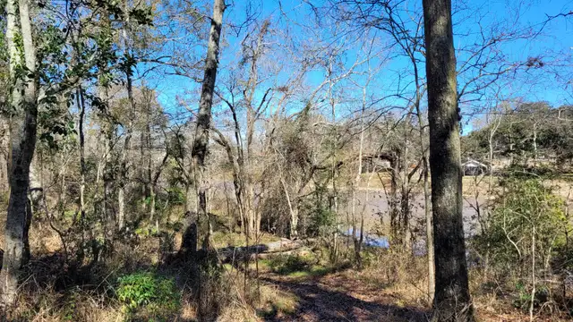 26 acres - Prime River Frontage thumbnail 4