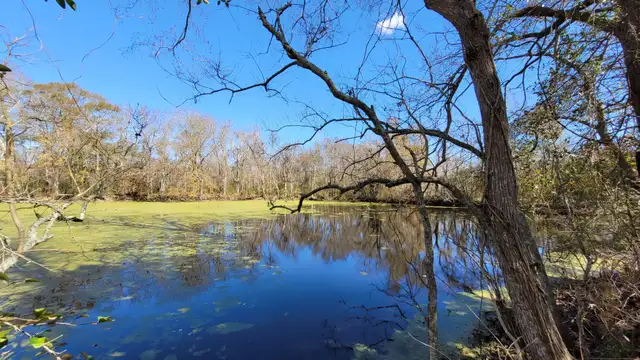 26 acres - Prime River Frontage thumbnail 5